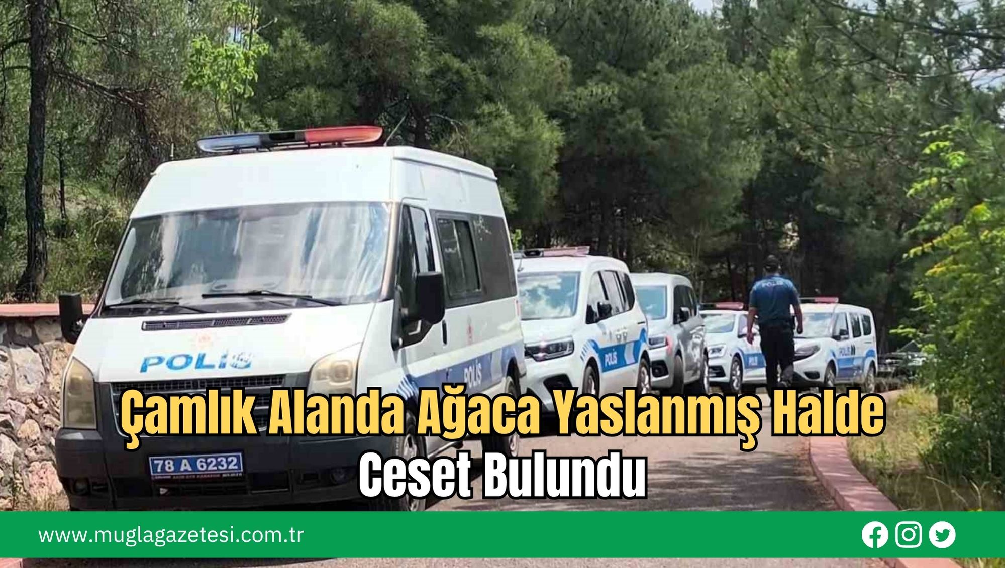 Çamlık Alanda Ağaca Yaslanmış Halde Ceset Bulundu