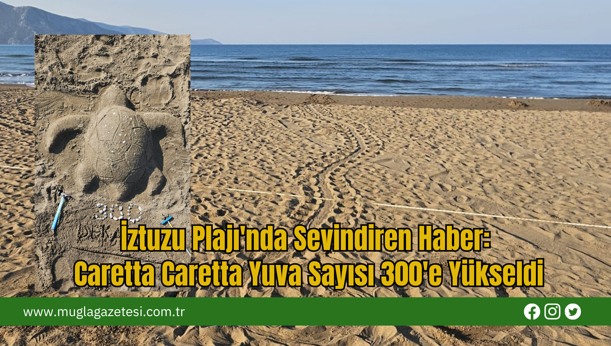 İztuzu Plajı'nda Sevindiren Haber: Caretta Caretta Yuva Sayısı 300'e Yükseldi