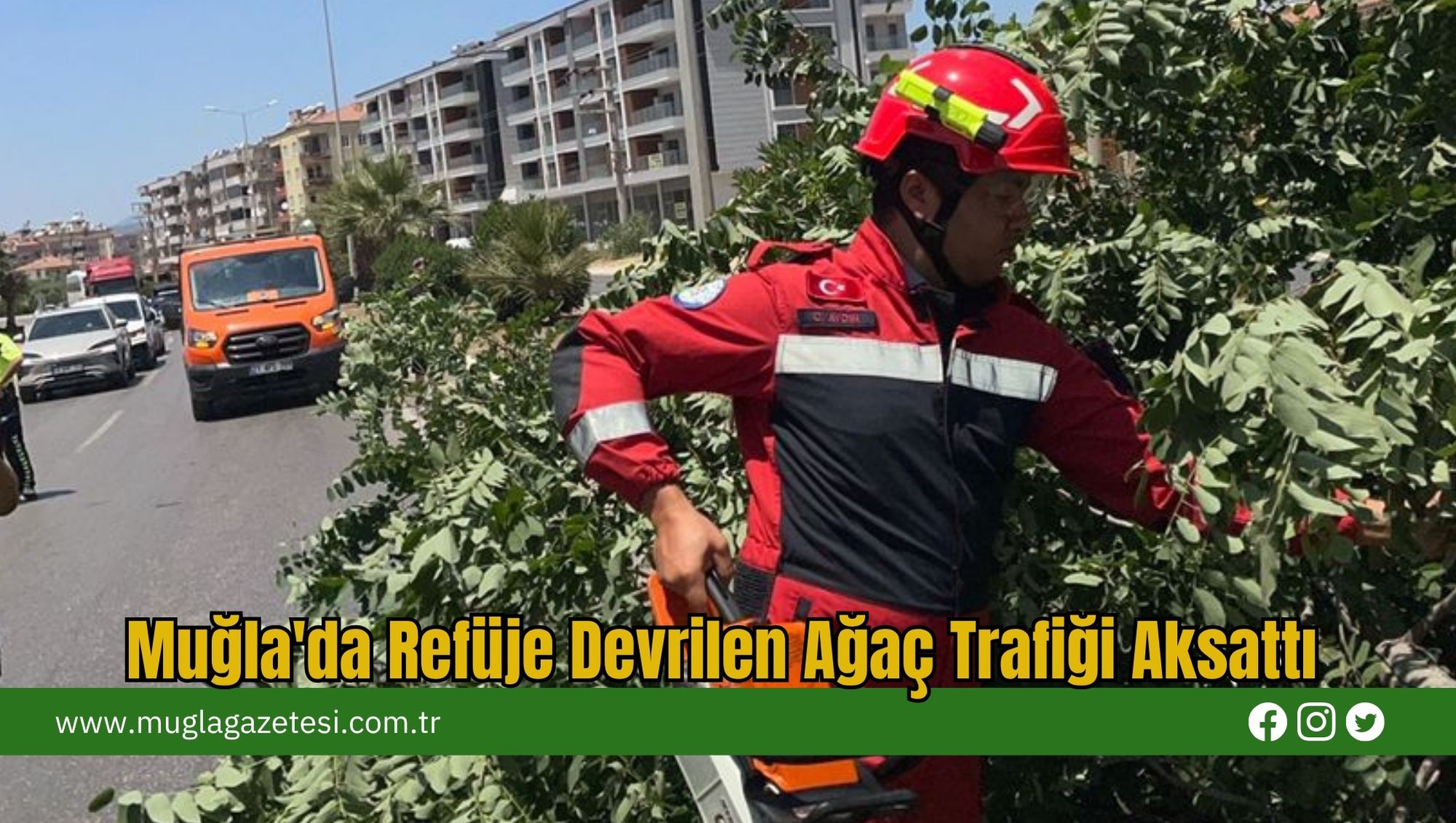 Muğla'da Refüje Devrilen Ağaç Trafiği Aksattı