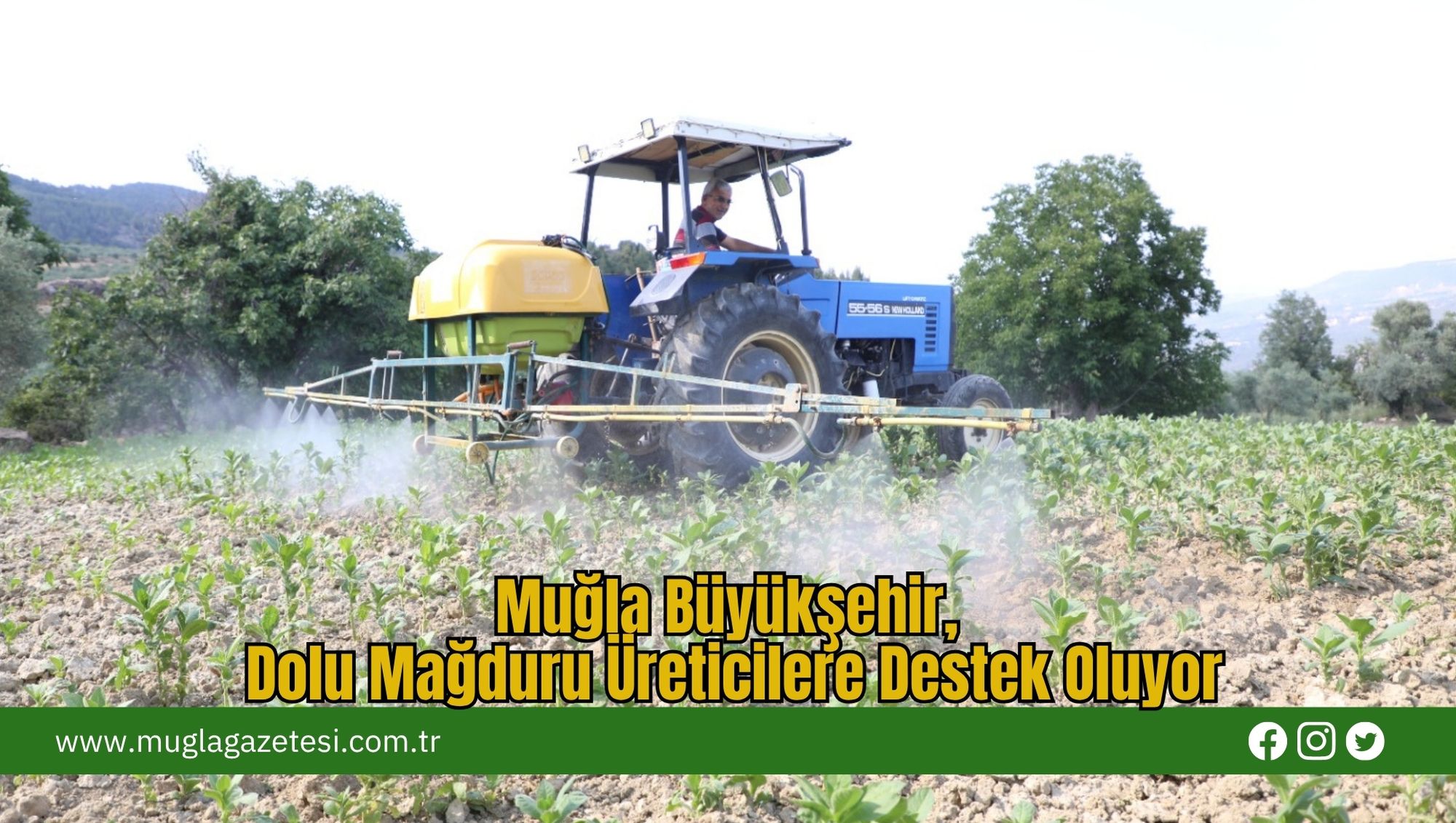 Muğla Büyükşehir, Dolu Mağduru Üreticilere Destek Oluyor