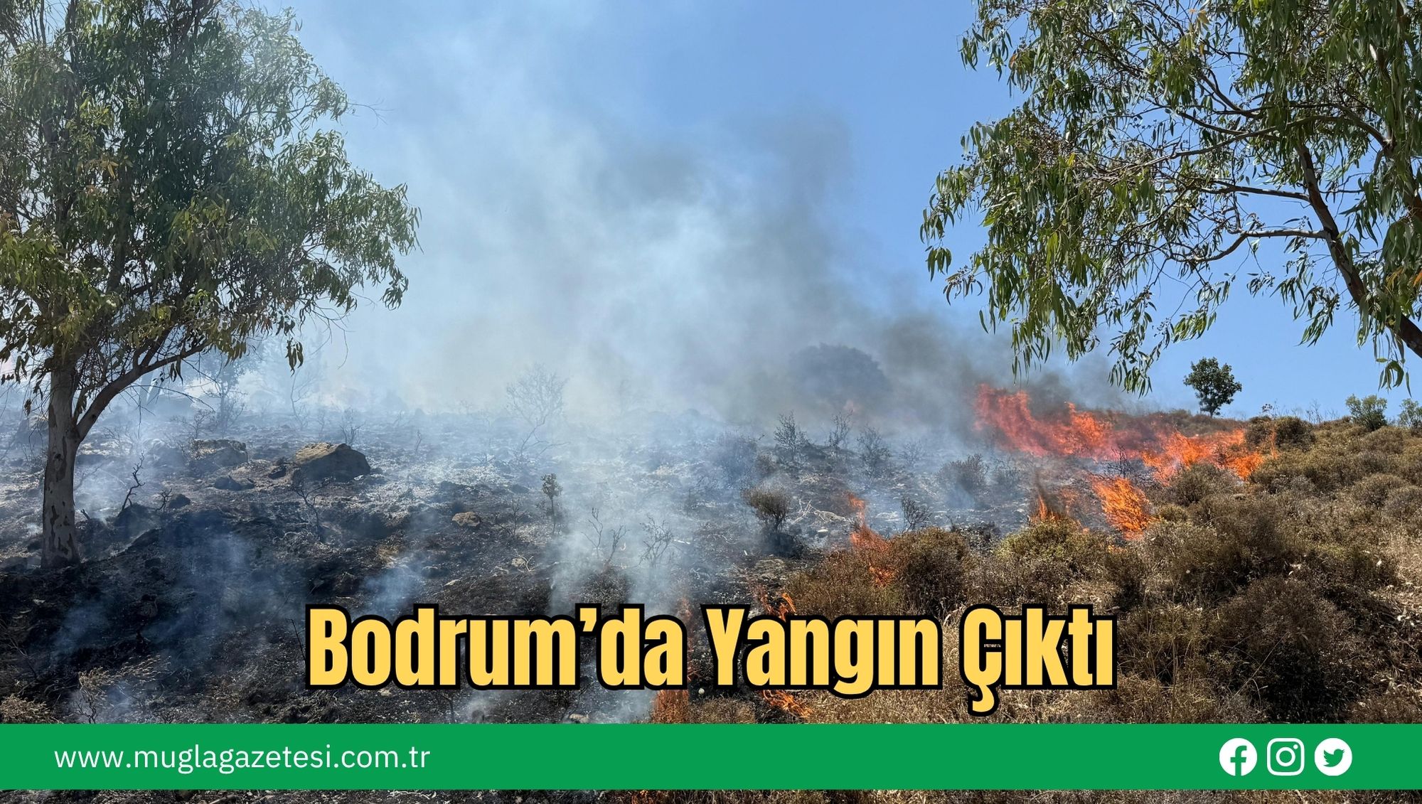 Bodrum’da Yangın Çıktı