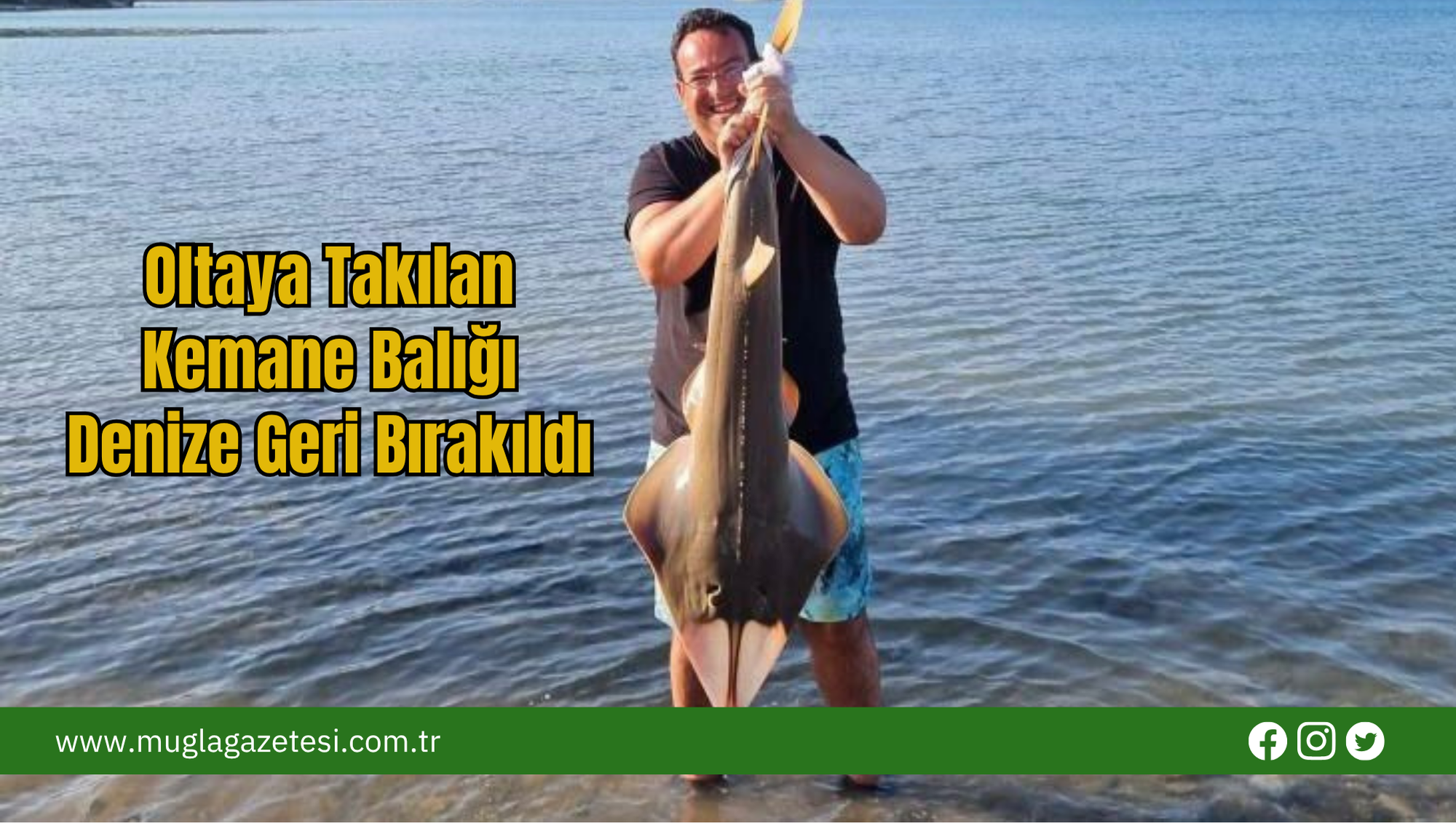 Oltaya Takılan Kemane Balığı Denize Geri Bırakıldı