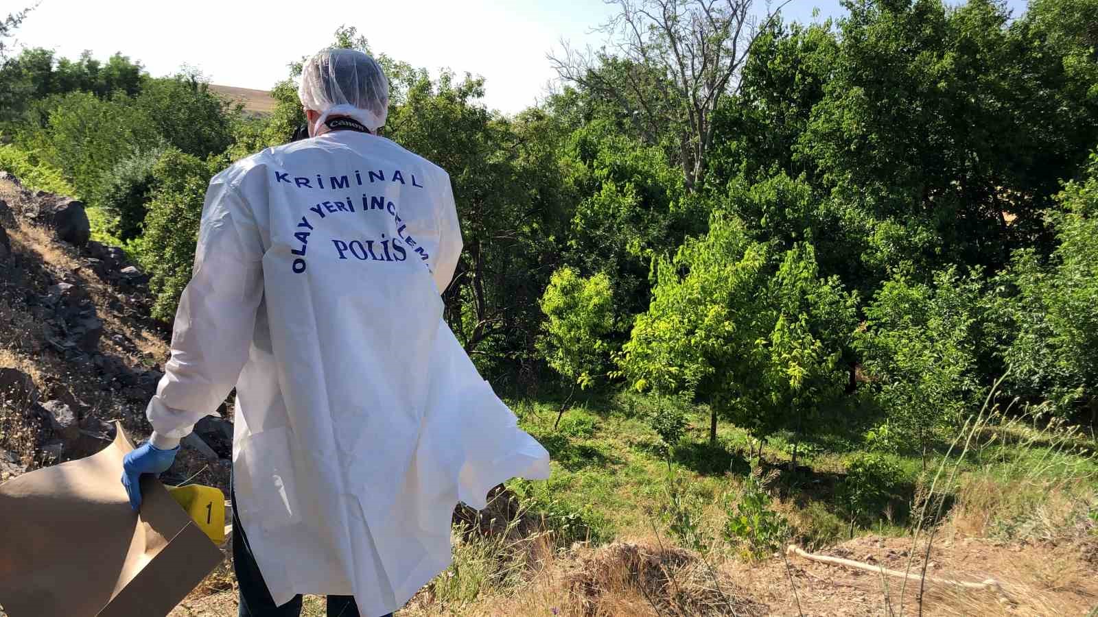 Ağaçta Asılı Cansız Erkek Bedeni Bulundu