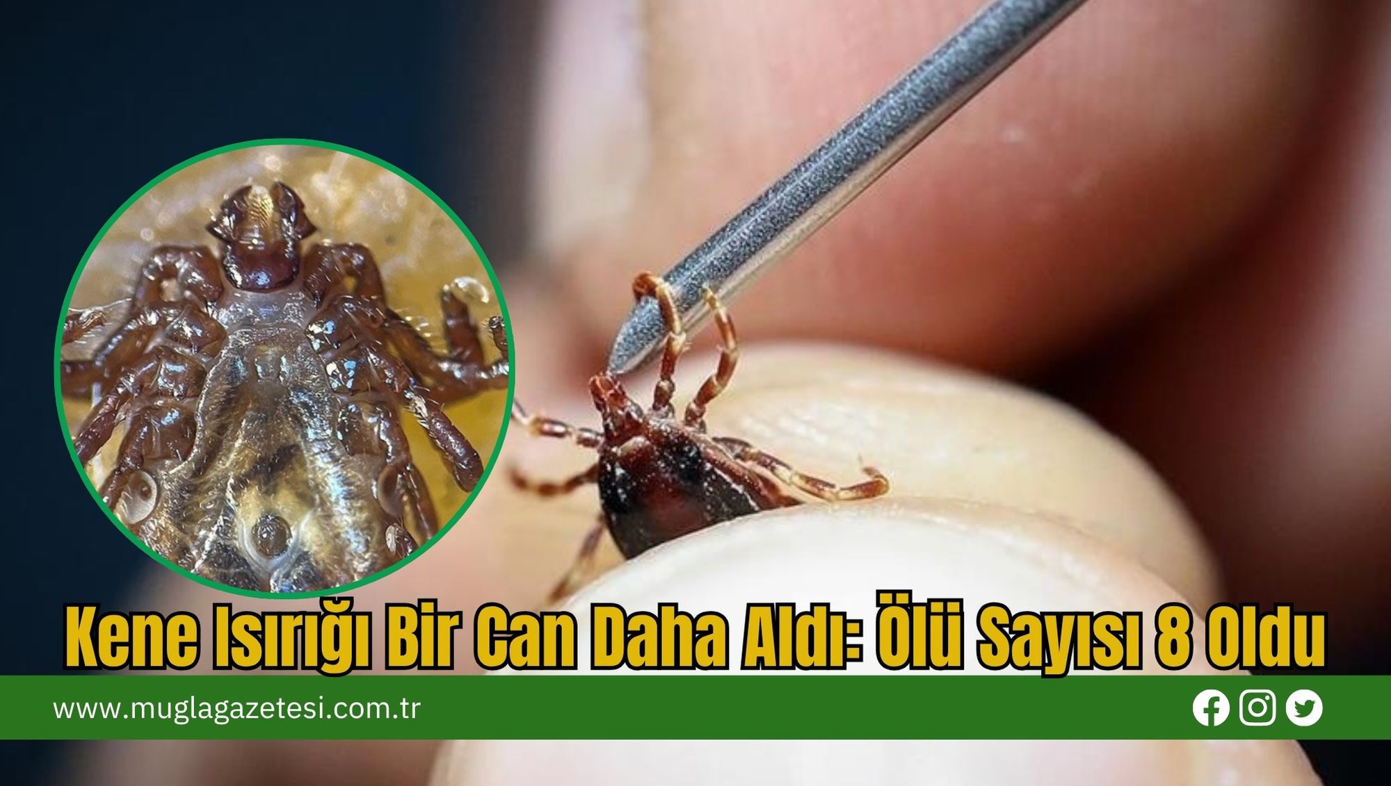 Kene Isırığı Bir Can Daha Aldı: Ölü Sayısı 8 Oldu