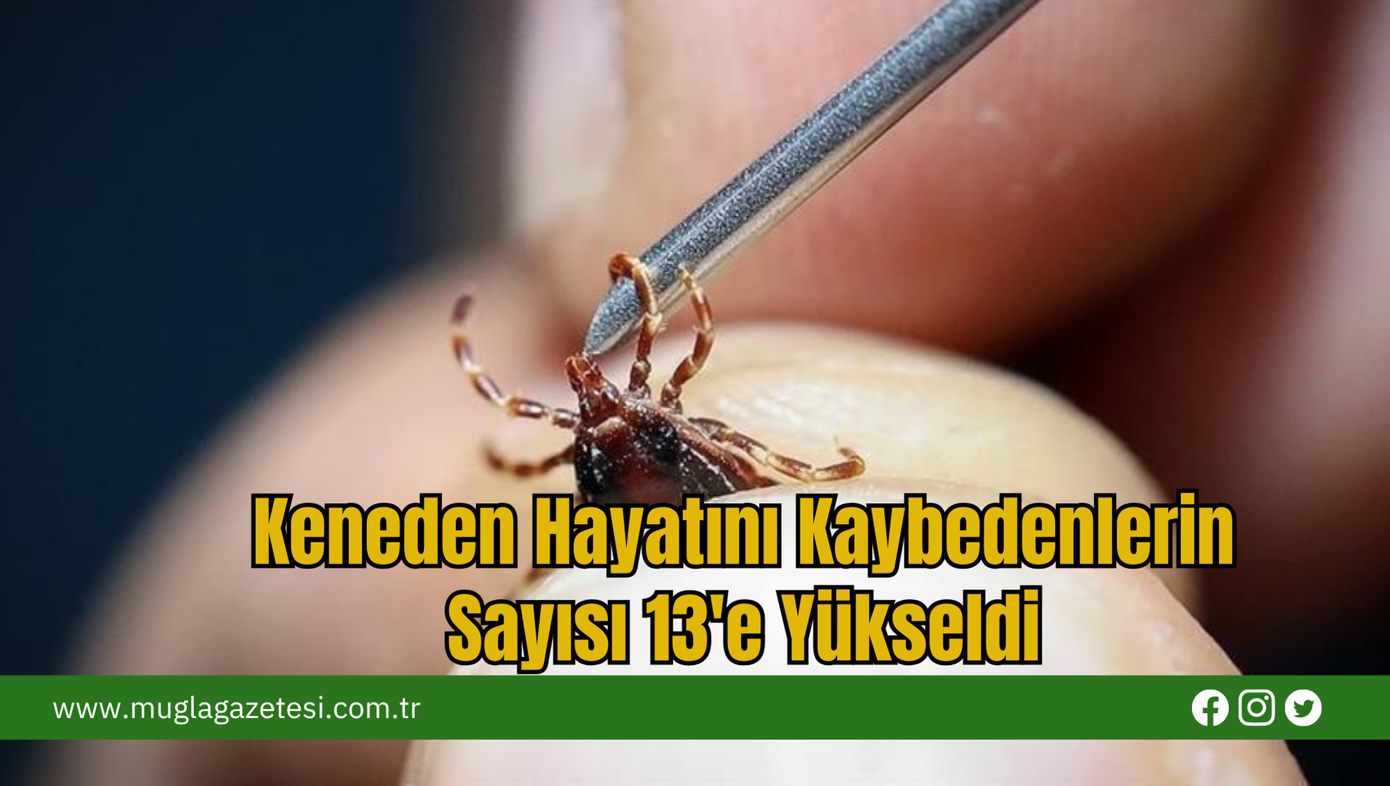 Keneden Hayatını Kaybedenlerin Sayısı 13'e Yükseldi