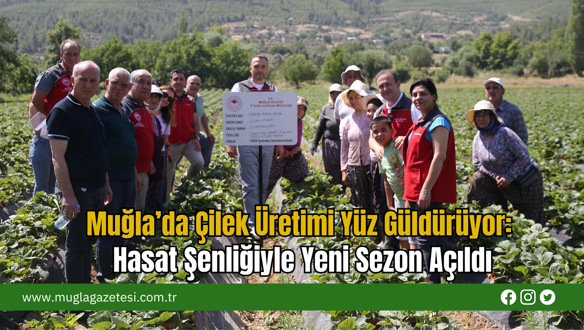 Muğla’da Çilek Üretimi Yüz Güldürüyor: Hasat Şenliğiyle Yeni Sezon Açıldı