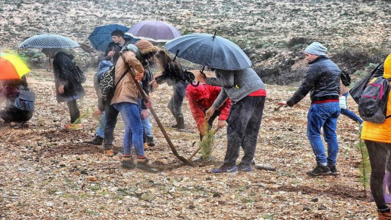 Yağmur Çamur Demeden Fidan Diktiler