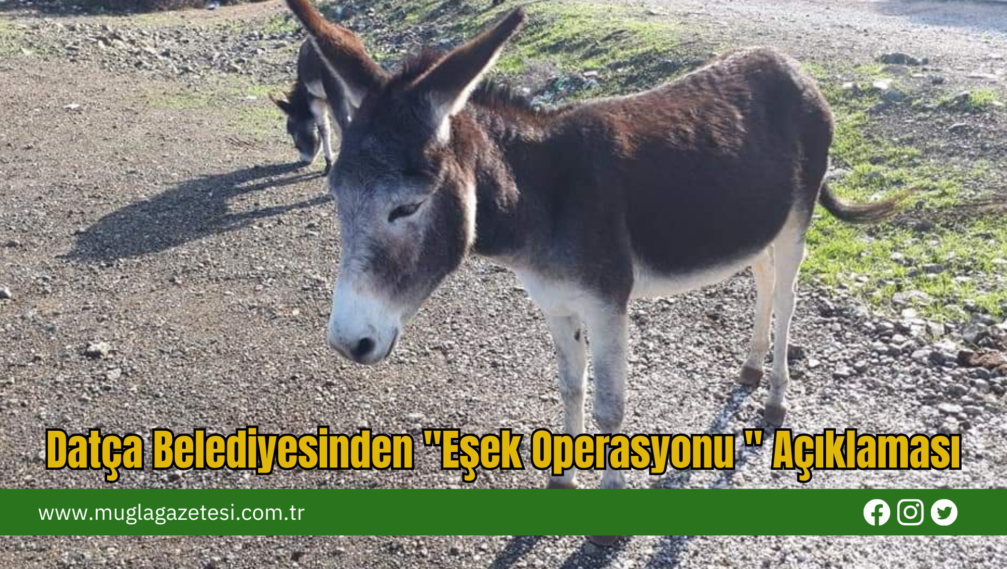 Datça Belediyesinden 