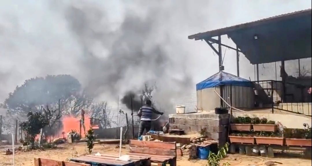 Aydın'da Orman Yangını