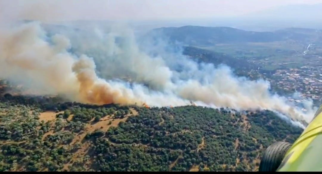 Aydın'da Yangın Başladı