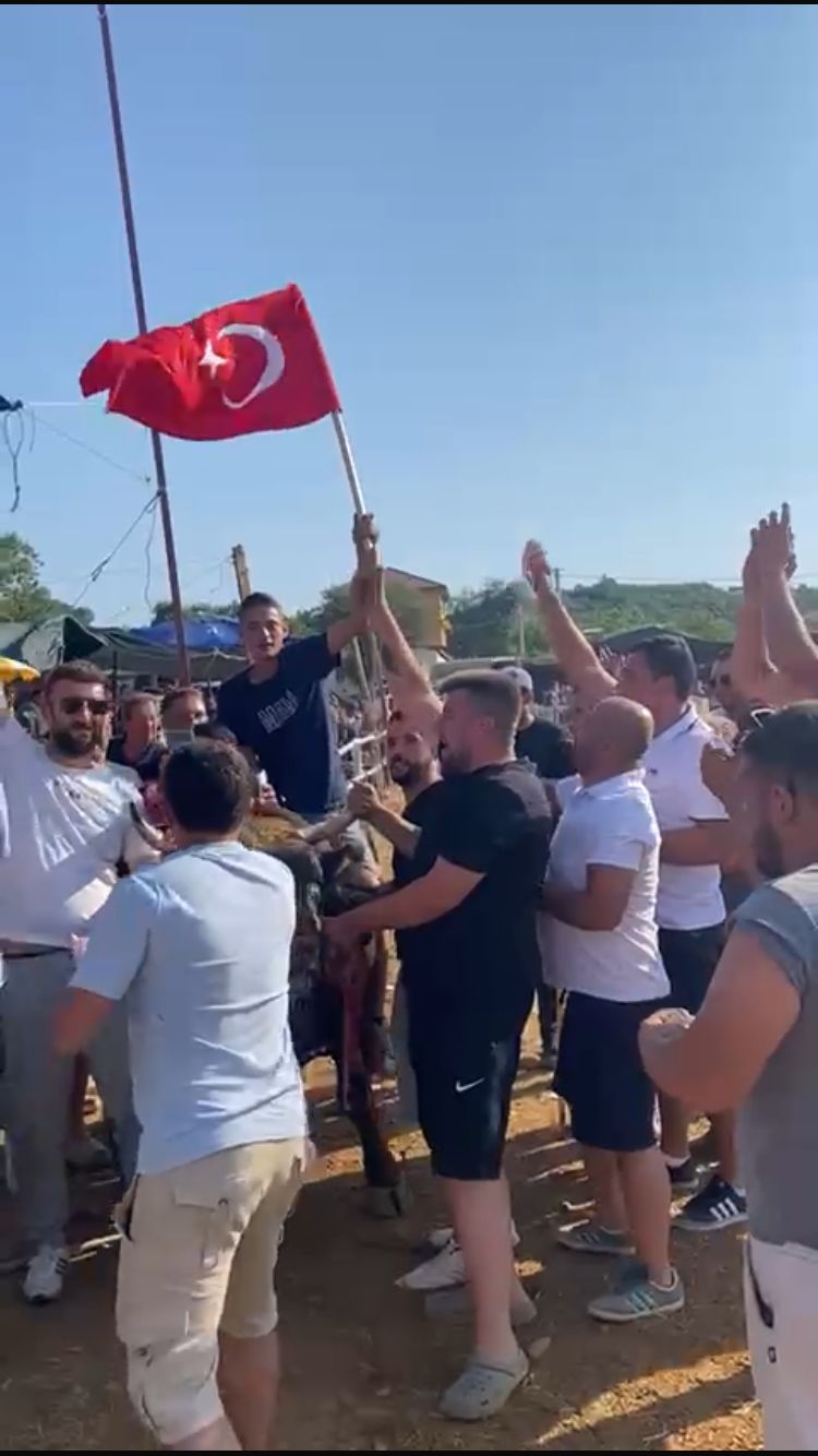 Doğanköy’de Boğa Güreşi Şampiyonu “Çift Turbo” Bayrakla Kafaca’ya Götürüldü