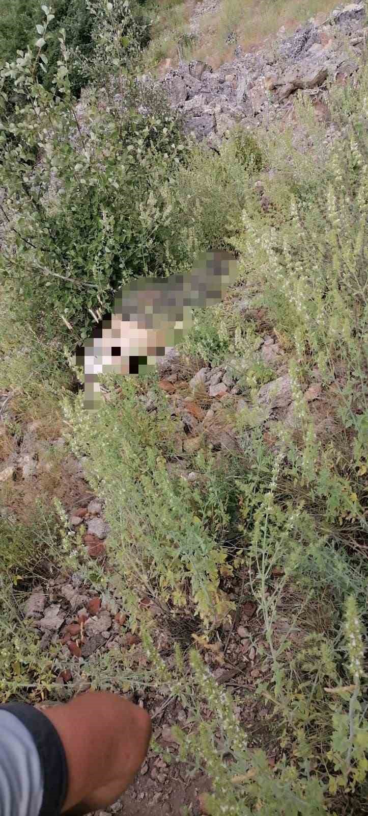 Antik Kentte Ot Toplayan Kadın Uçurumdan Düştü