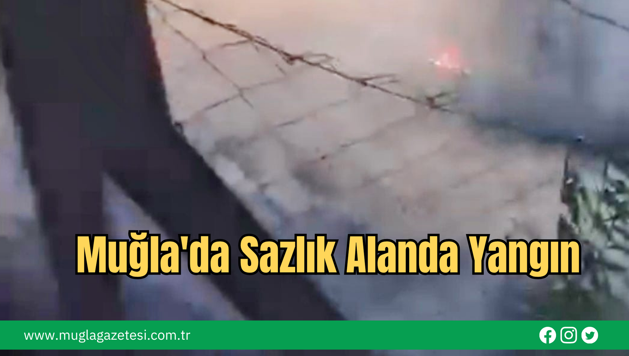 Muğla'da Sazlık Alanda Yangın