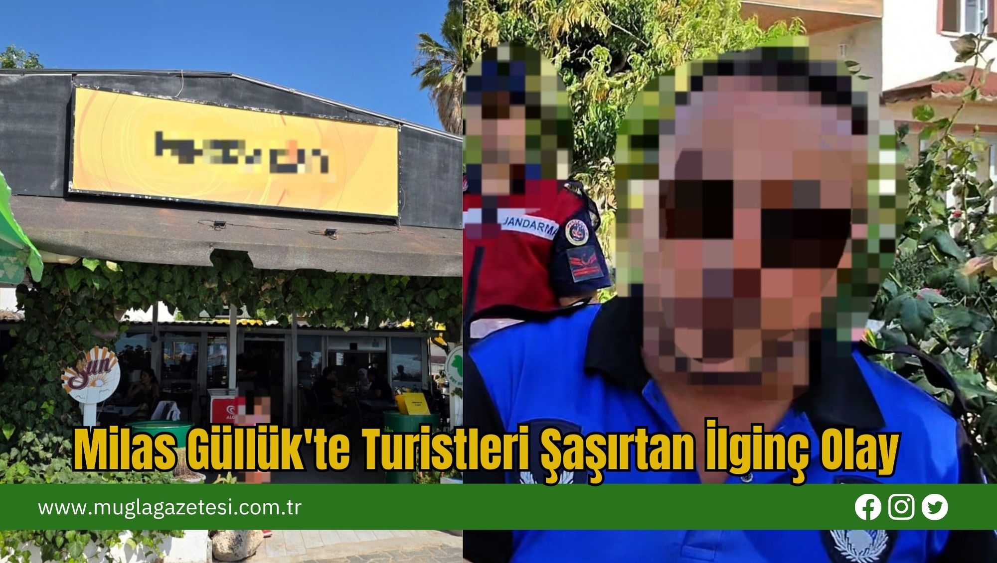 Milas Güllük'te Turistleri Şaşırtan İlginç Olay