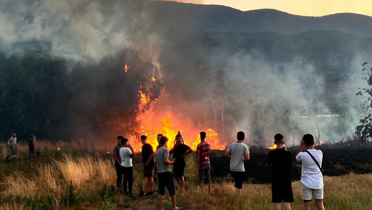 Milas'ta Korkutan Yangın