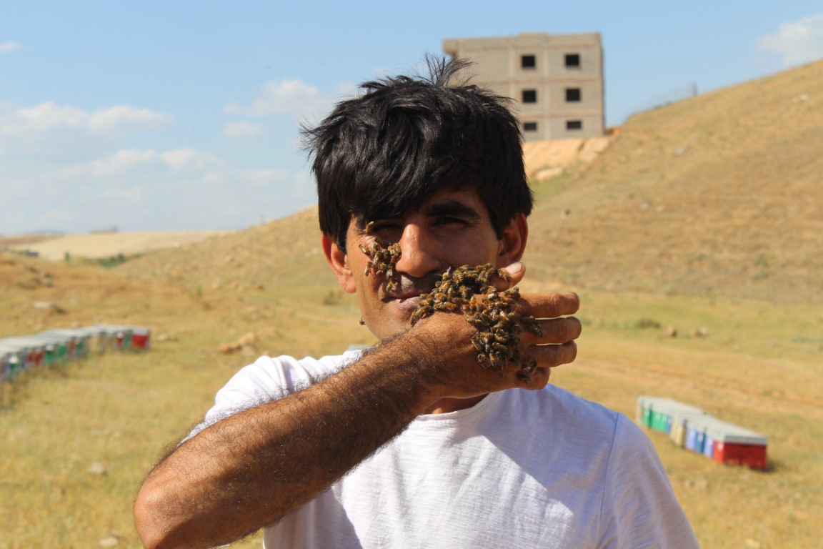 Arılara Olan Sevgisi Görenleri Şaşkına Çevirdi