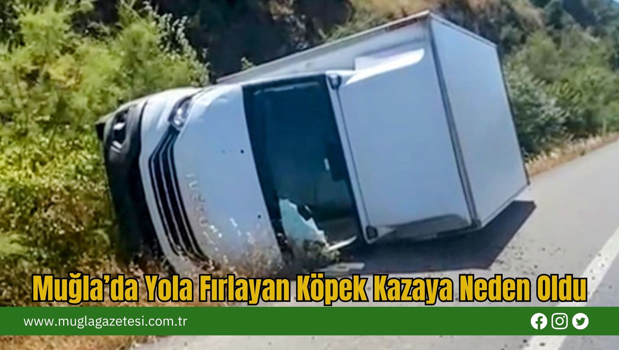 Muğla’da Yola Fırlayan Köpek Kazaya Neden Oldu