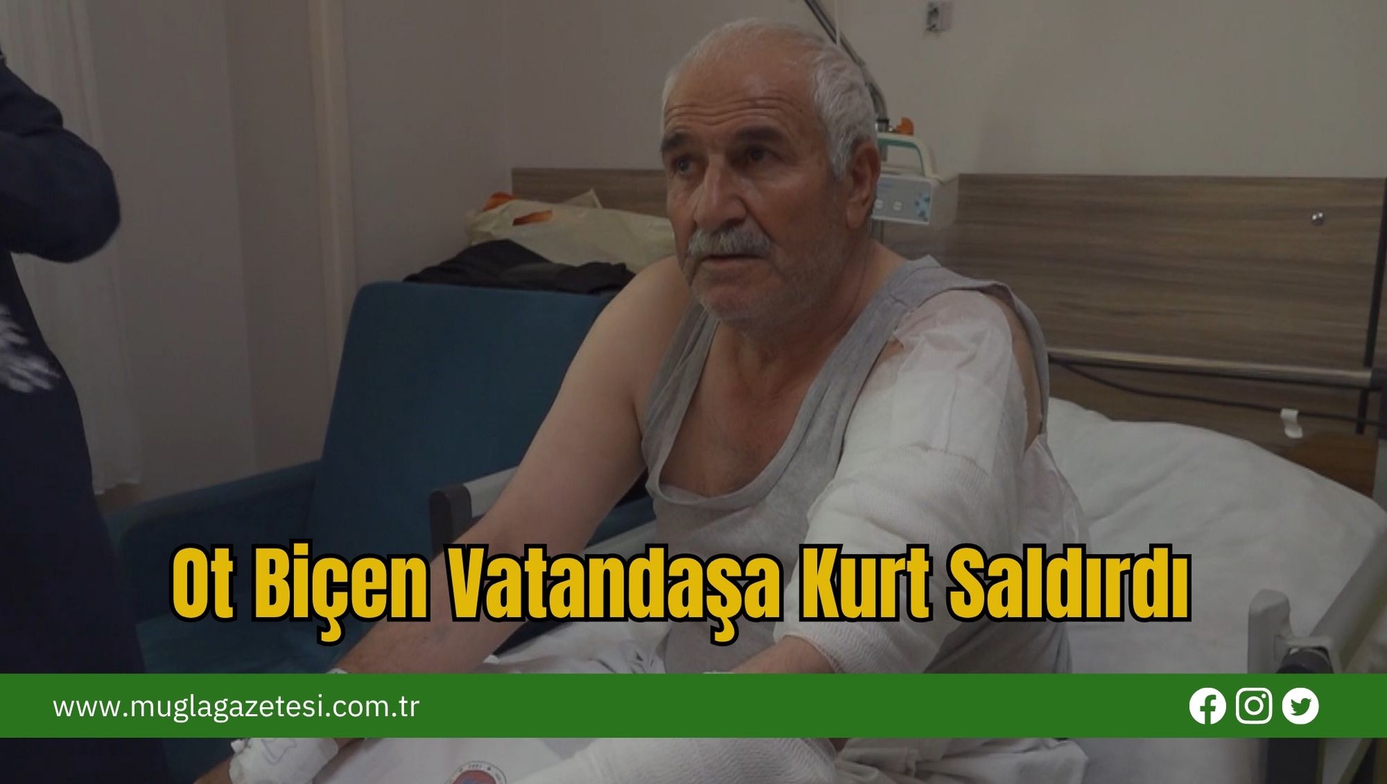 Ot Biçen Vatandaşa Kurt Saldırdı