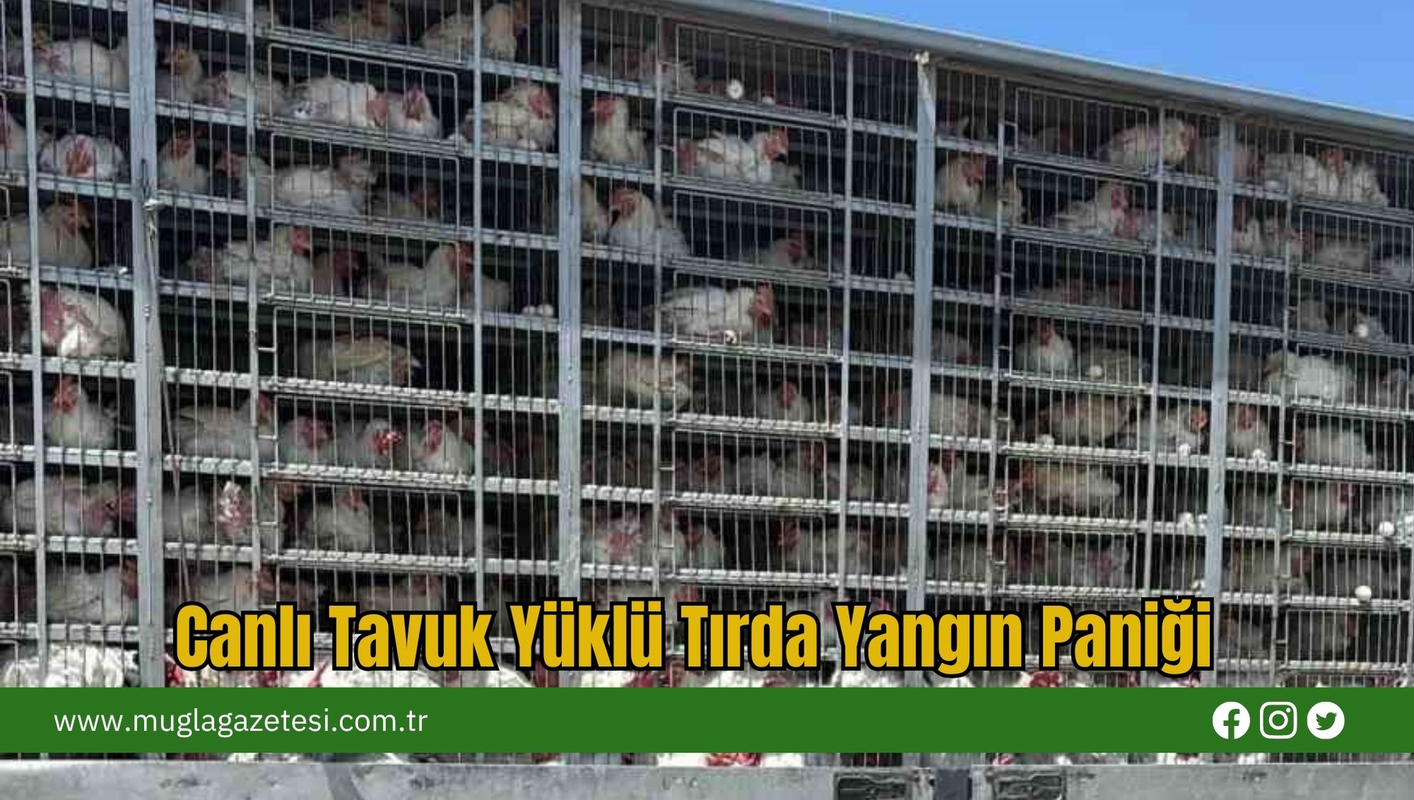 Canlı Tavuk Yüklü Tırda Yangın Paniği