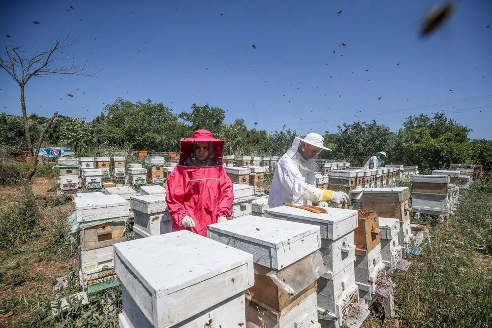 4 Arkadaşın İş Planı: Kilosunu 45 Binden Satıyorlar