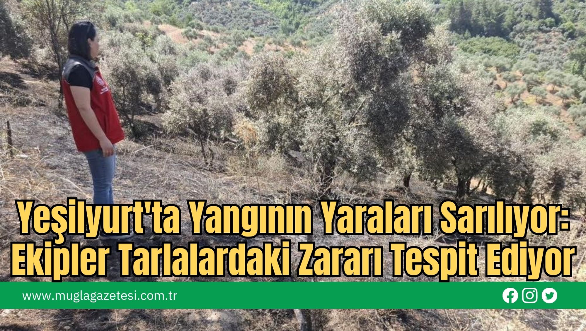 Yeşilyurt'ta Yangının Yaraları Sarılıyor: Ekipler Tarlalardaki Zararı Tespit Ediyor