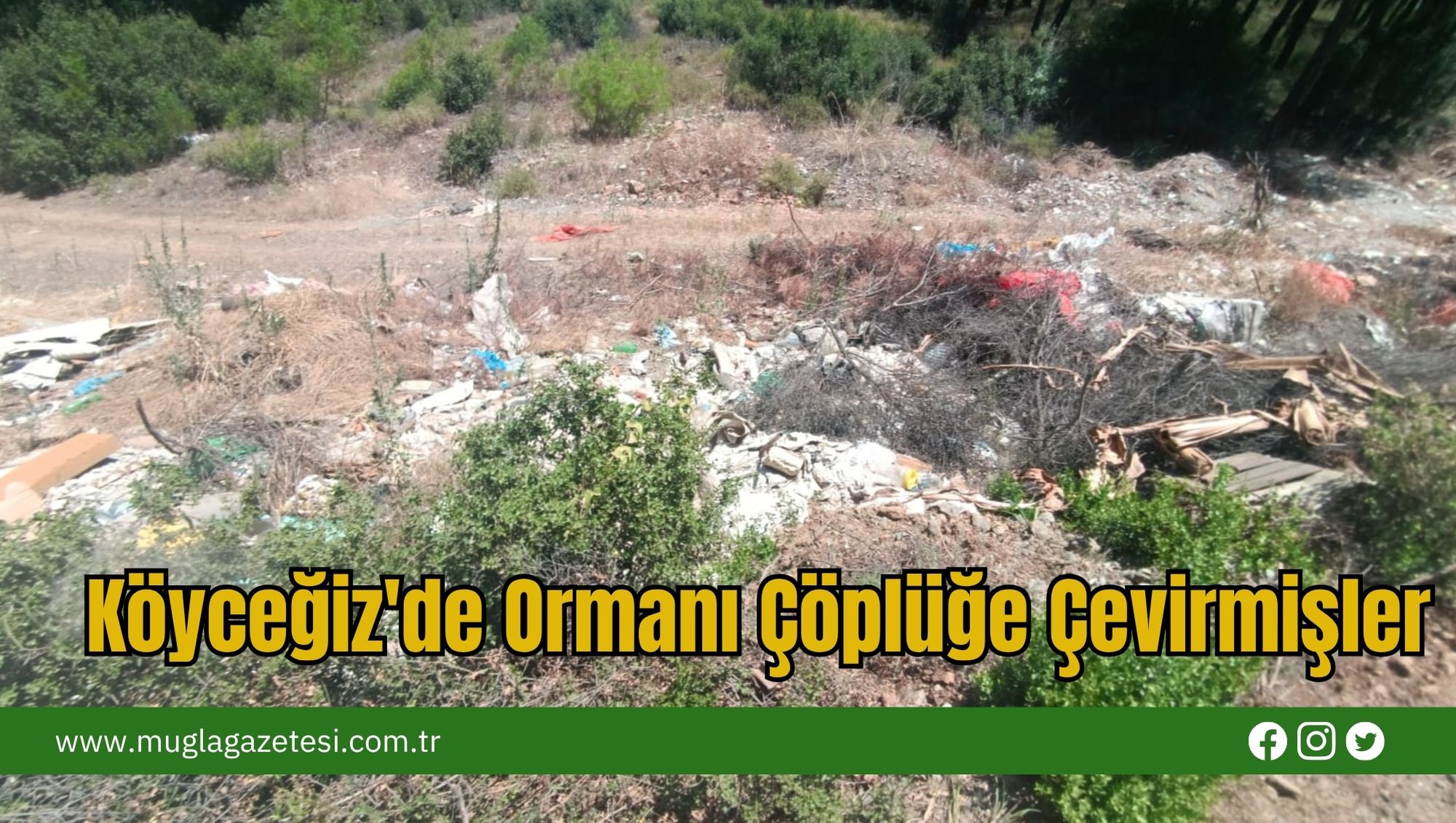 Köyceğiz'de Ormanı Çöplüğe Çevirmişler