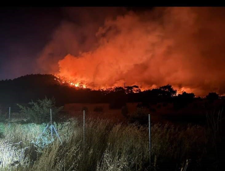 İzmir Alev Alev Yanıyor:Aliağa’da Başladı, Foça’ya Sıçradı, Evler Boşaltıldı
