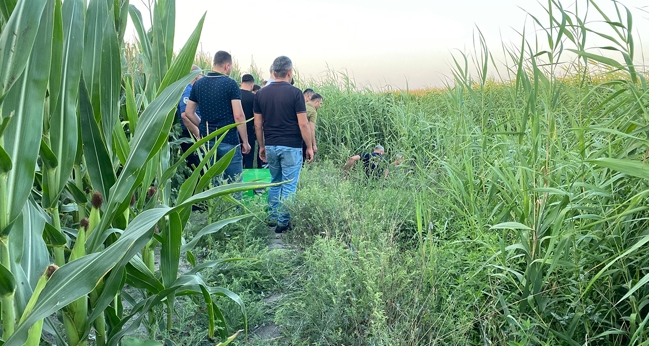 Sazlıklar Arasında Şüpheli Ölüm: Bir Kişi Ölü Bulundu