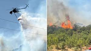 Türkiye Yanıyor, Yedi Şehirde Orman Yangını: Bazı Şehirlerde Tahliyeler Başladı, Gözaltılar Var