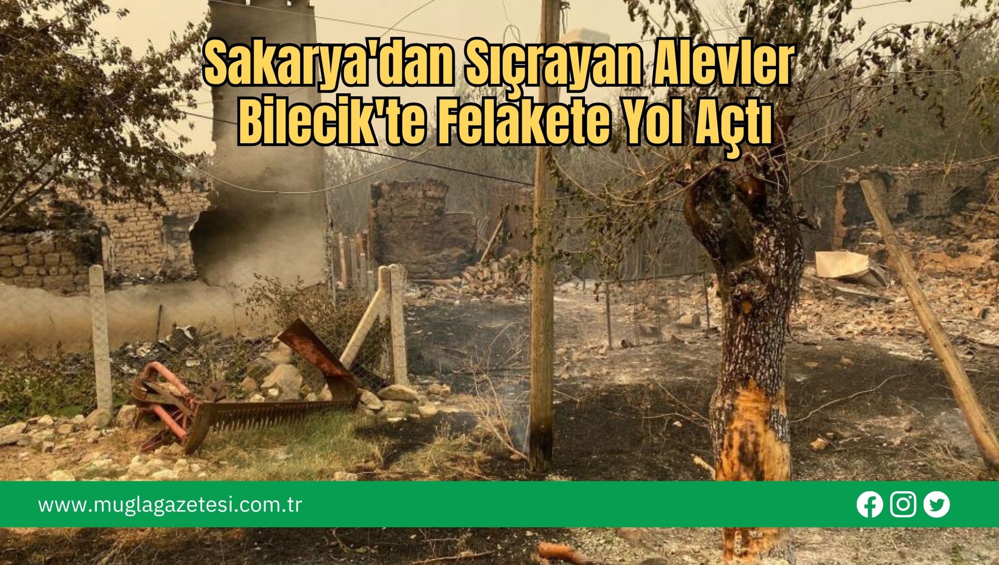 Sakarya'dan Sıçrayan Alevler Bilecik'te Felakete Yol Açtı