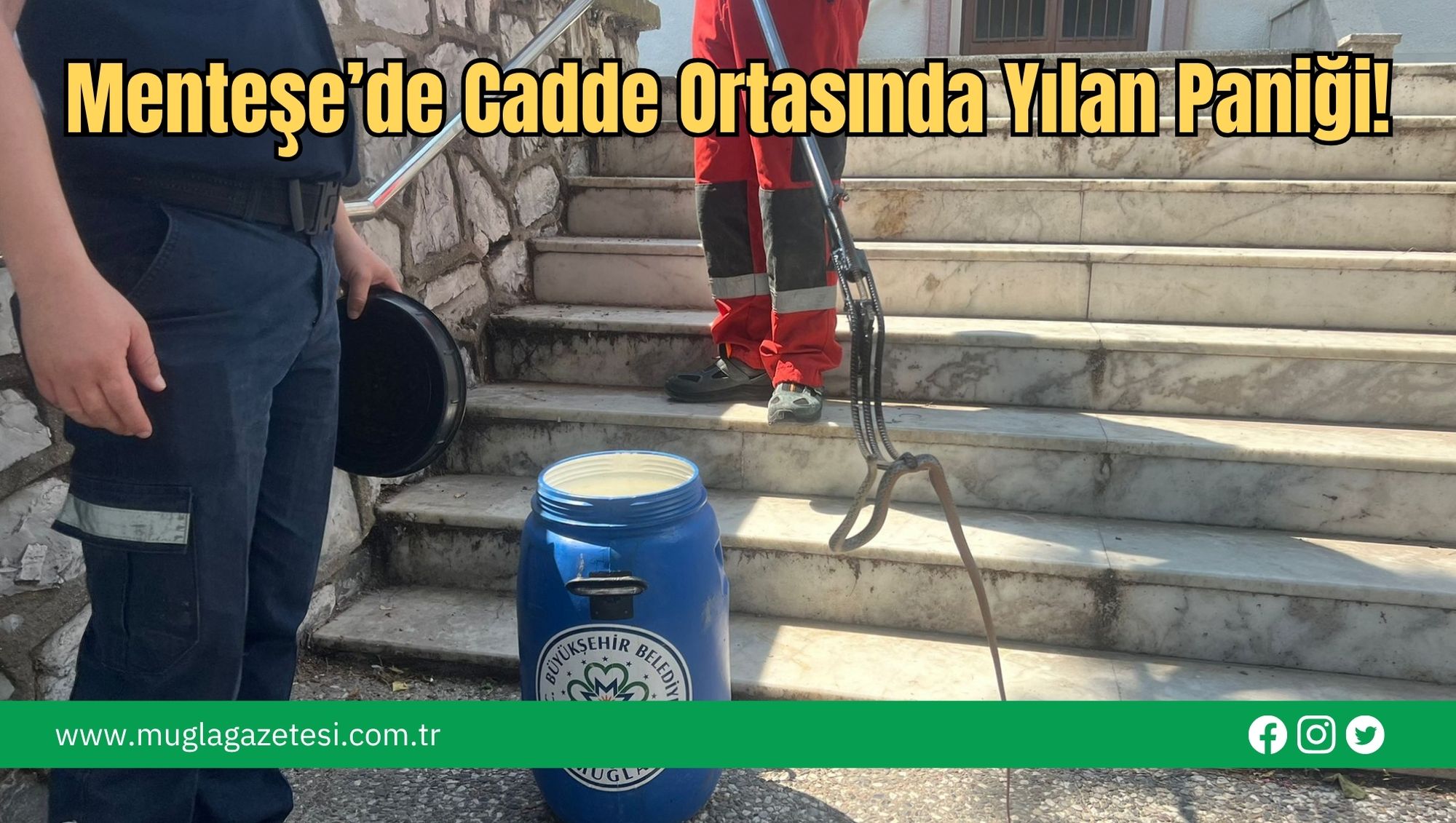 Menteşe’de Cadde Ortasında Yılan Paniği!