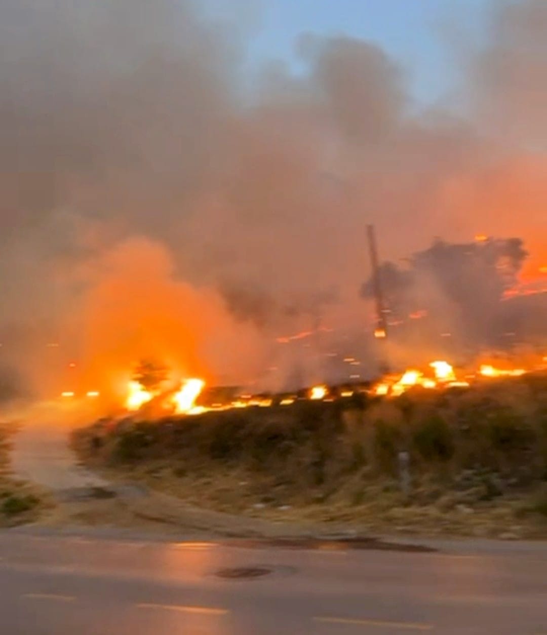 Muğla'da Düğün Konvoyundan Atılan Meşale Yangına Neden Oldu