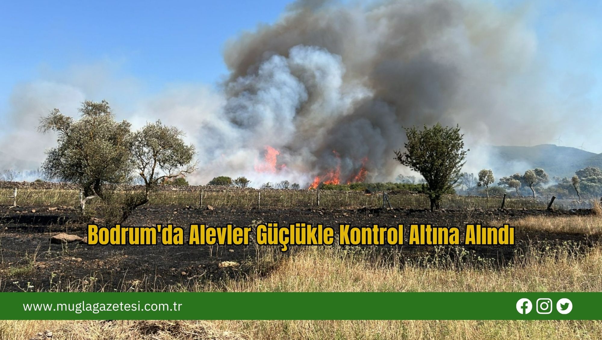 Bodrum'da Alevler Güçlükle Kontrol Altına Alındı