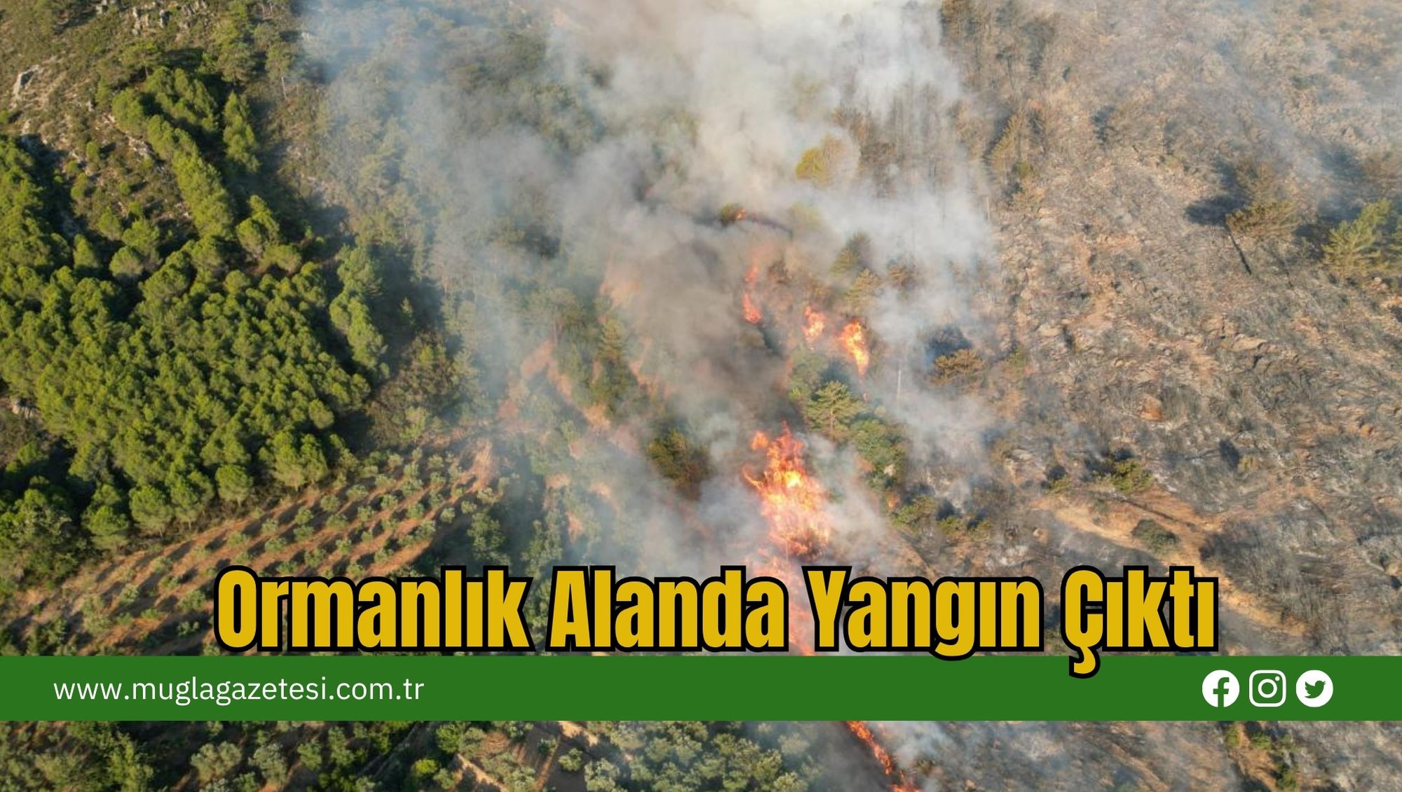 Ormanlık Alanda Yangın Çıktı