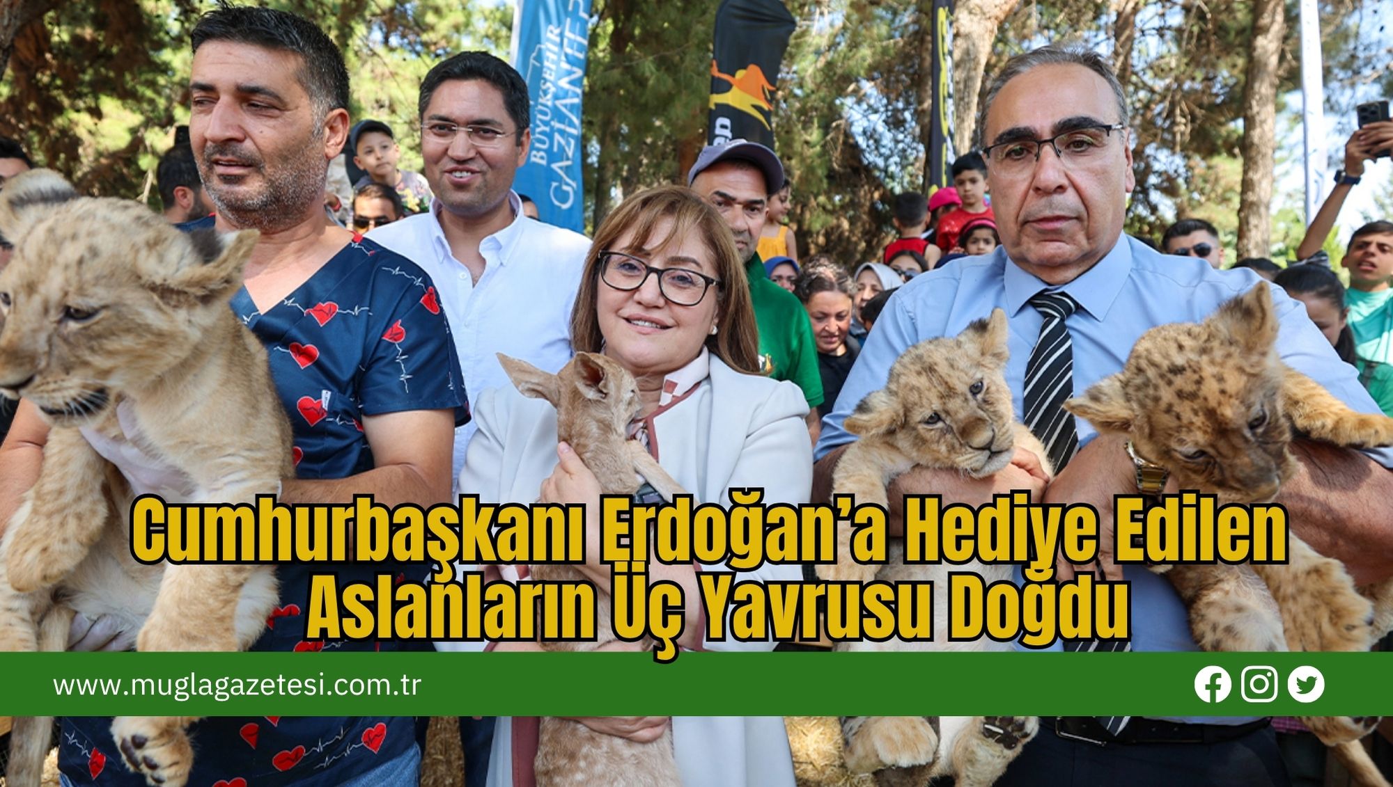 Cumhurbaşkanı Erdoğan’a Hediye Edilen Aslanların Üç Yavrusu Doğdu