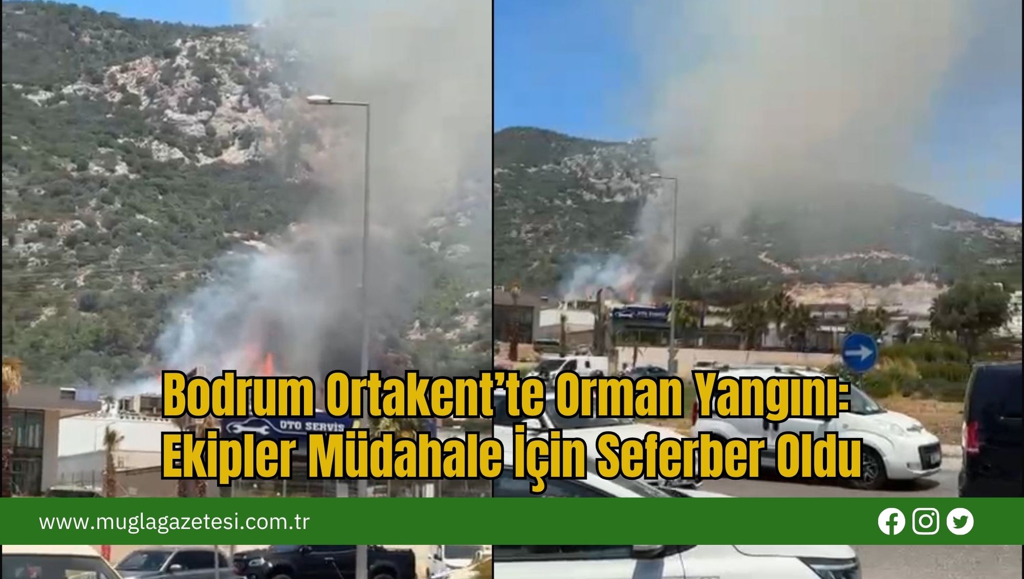 Bodrum Ortakent’te Orman Yangını: Ekipler Müdahale İçin Seferber Oldu