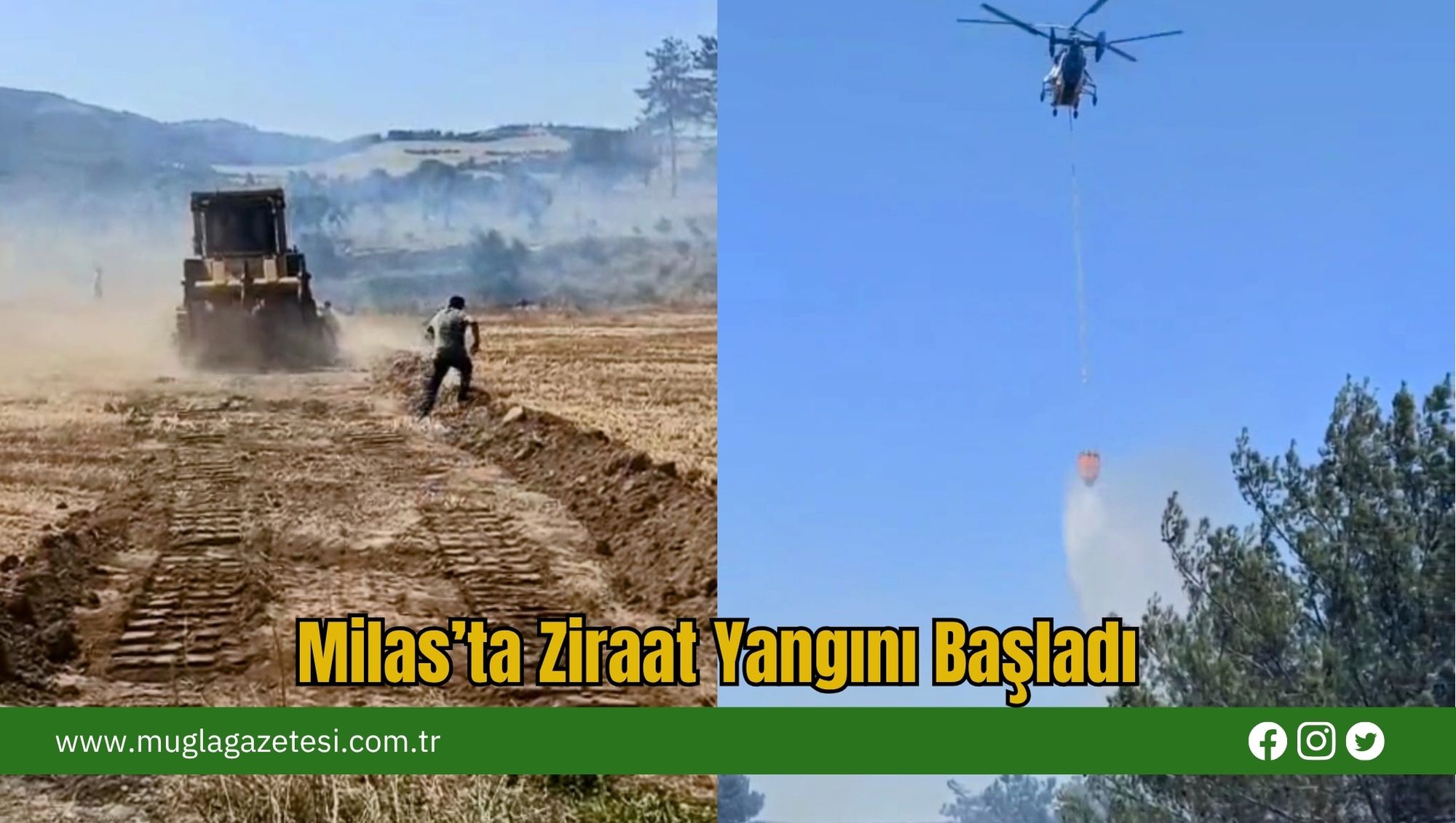Milas’ta Ziraat Yangını Başladı