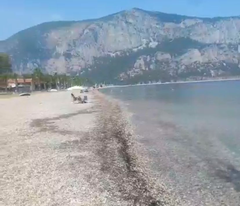 Muğla’da Down Sendromlu Vatandaşı Boğulmaktan Cankurtaran Kurtardı