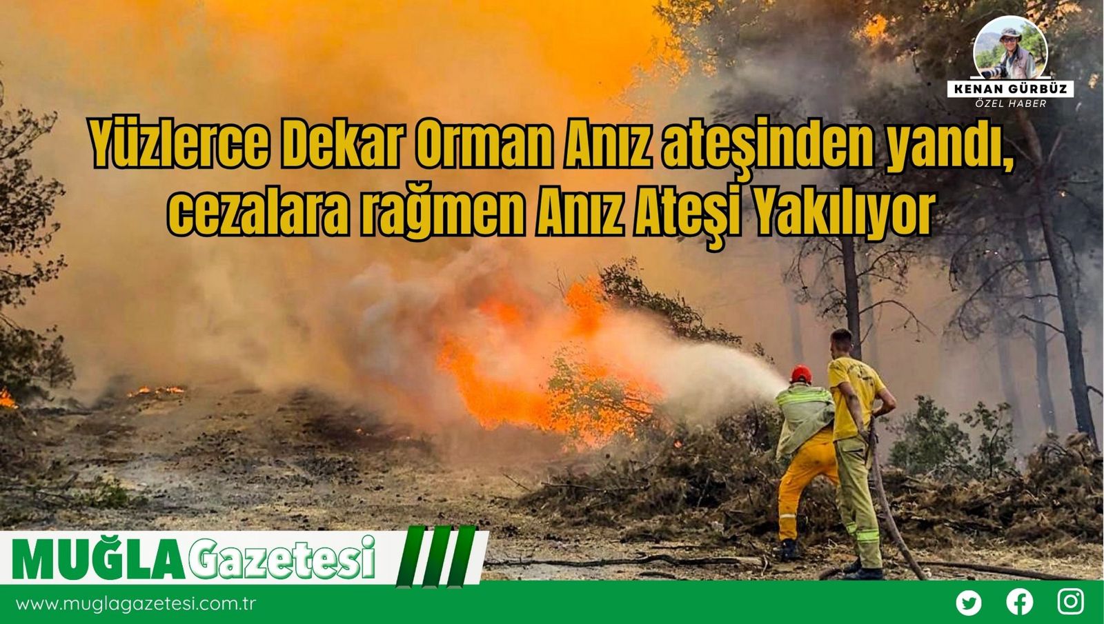Yüzlerce Dekar Orman Anız Ateşinden Yandı, Cezalara Rağmen Anız Ateşi Yakılıyor