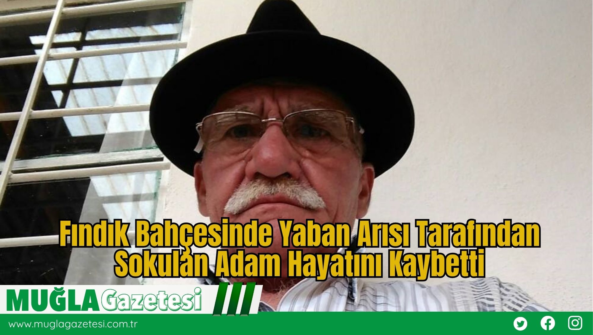 Fındık Bahçesinde Yaban Arısı Tarafından Sokulan Adam Hayatını Kaybetti