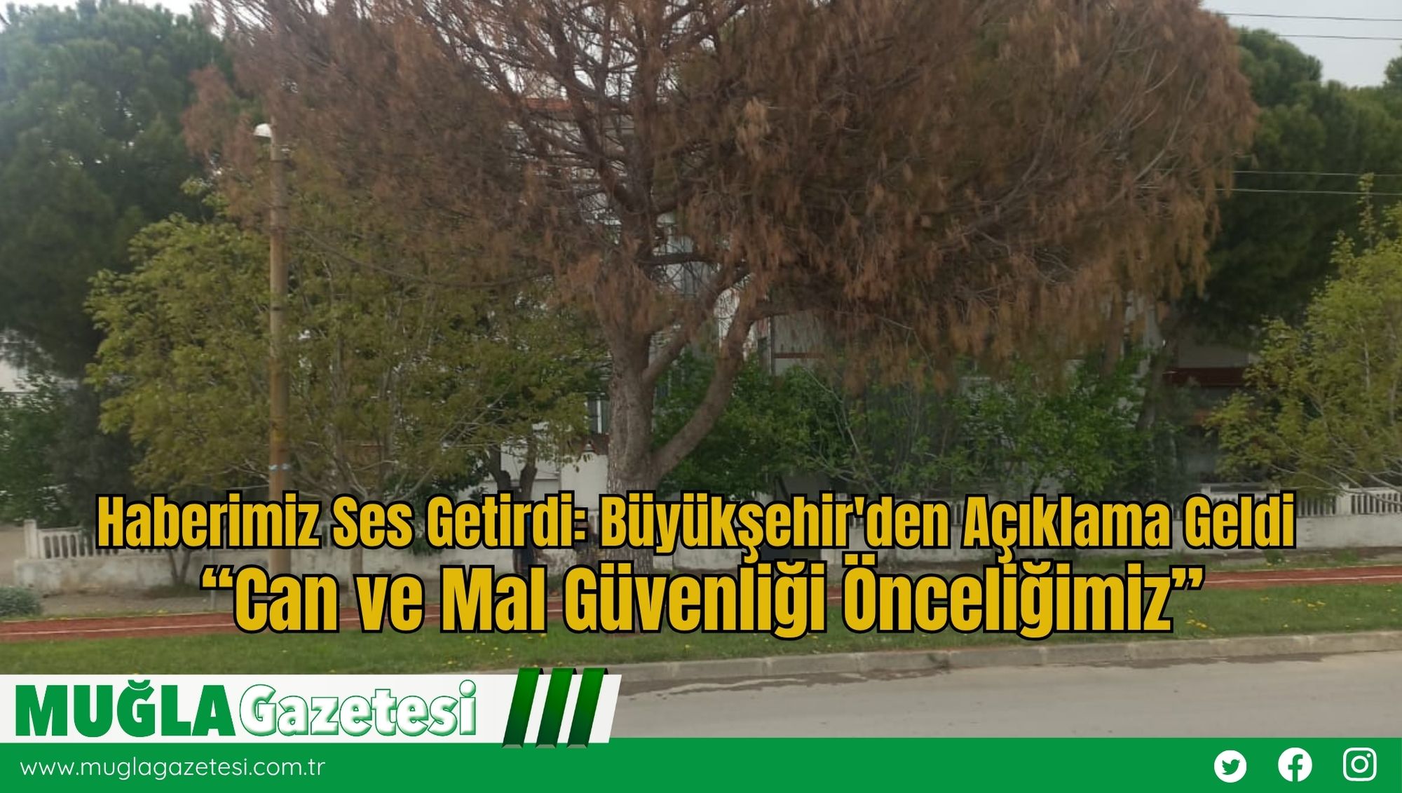 Haberimiz Ses Getirdi: Büyükşehir'den Açıklama Geldi “Can ve Mal Güvenliği Önceliğimiz”