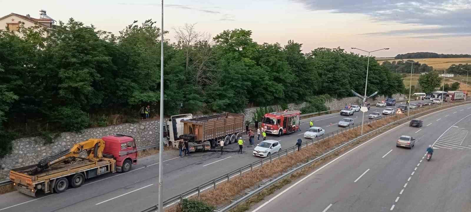 Yola Düşen Tomruk Dehşet Saçtı: Can Pazarı Yaşandı