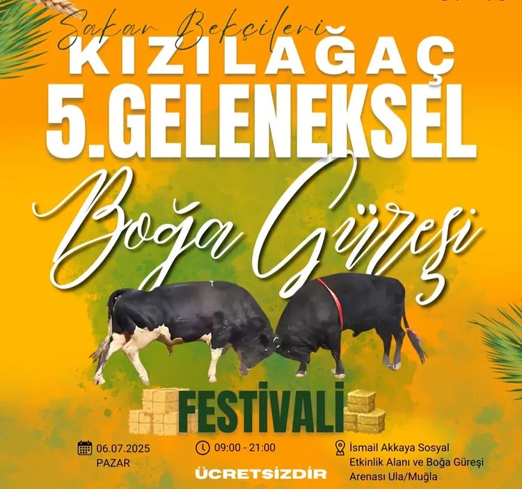 Ula’da Boğa Güreşi Heyecanı Başlıyor