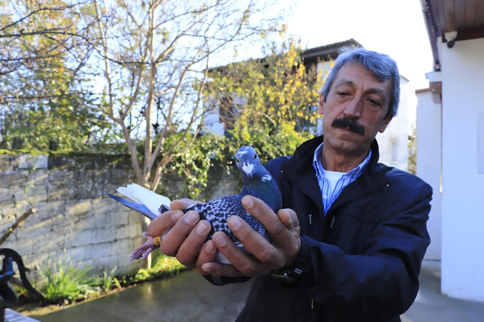 Muğla'nın Güvercinleri Öksüz Kaldı