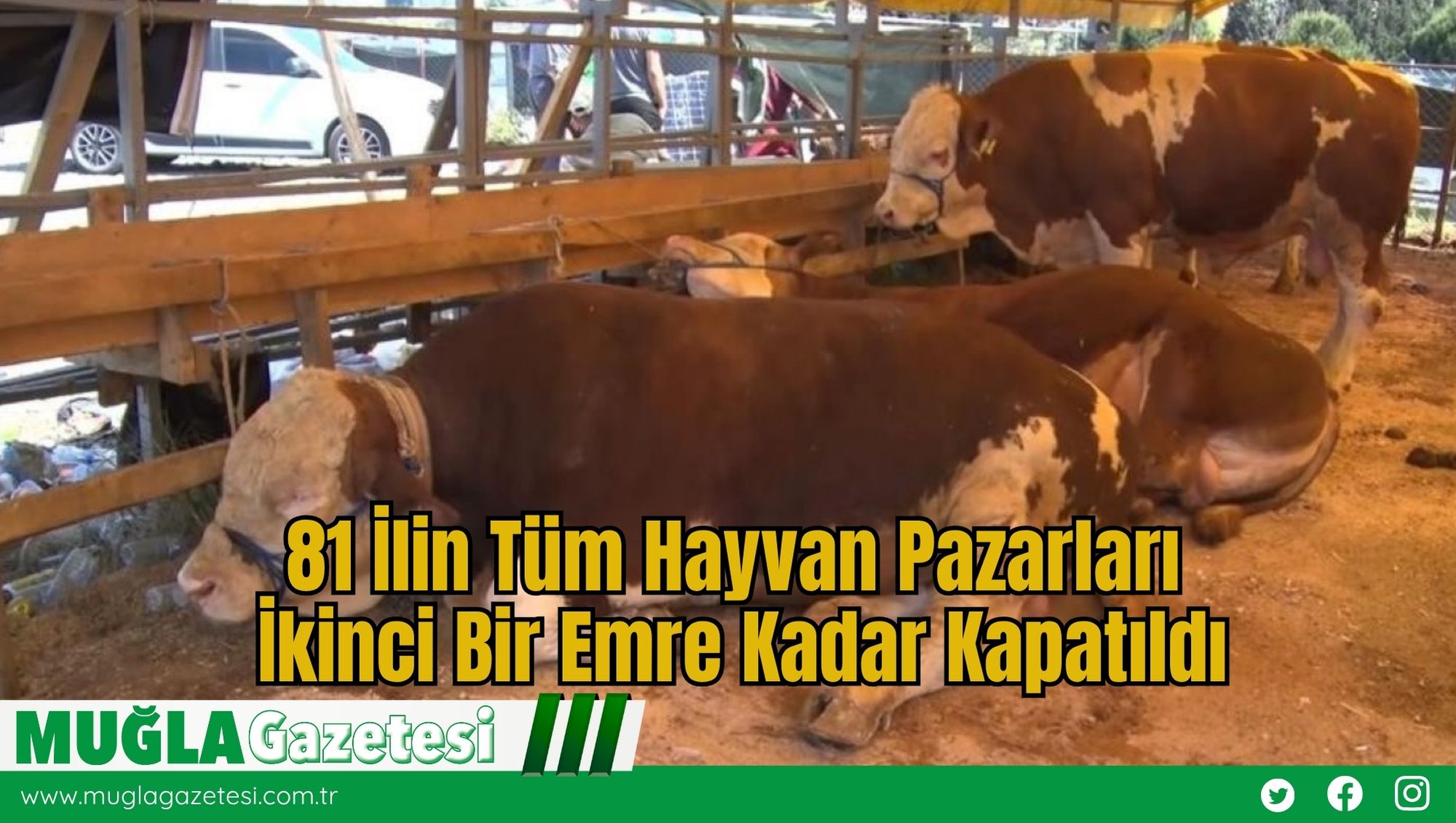 81 İlin Tüm Hayvan Pazarları İkinci Bir Emre Kadar Kapatıldı