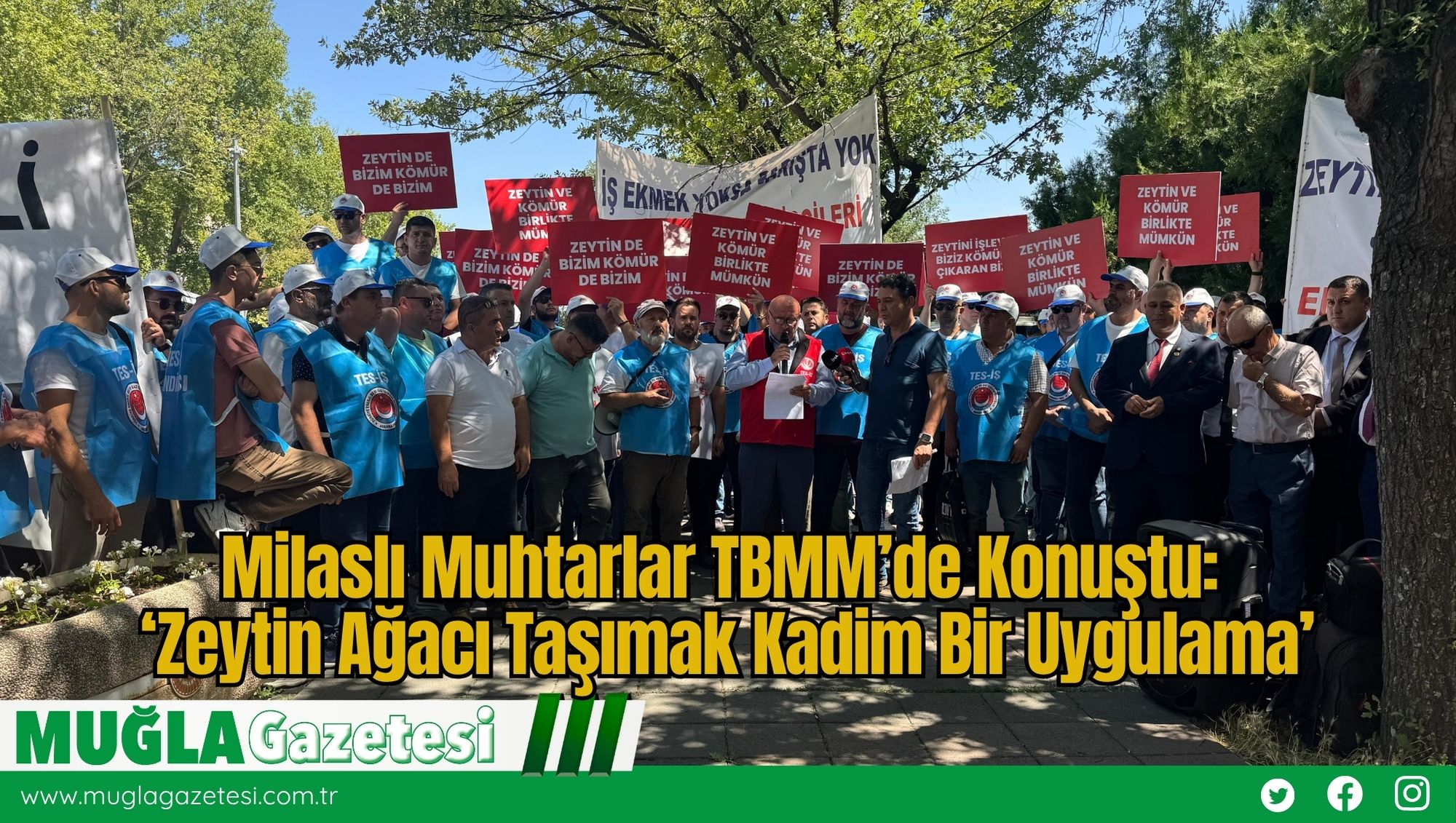 Milaslı Muhtarlar TBMM’de Konuştu: ‘Zeytin Ağacı Taşımak Kadim Bir Uygulama’