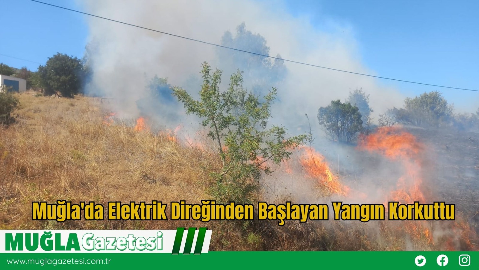 Muğla'da Elektrik Direğinden Başlayan Yangın Korkuttu