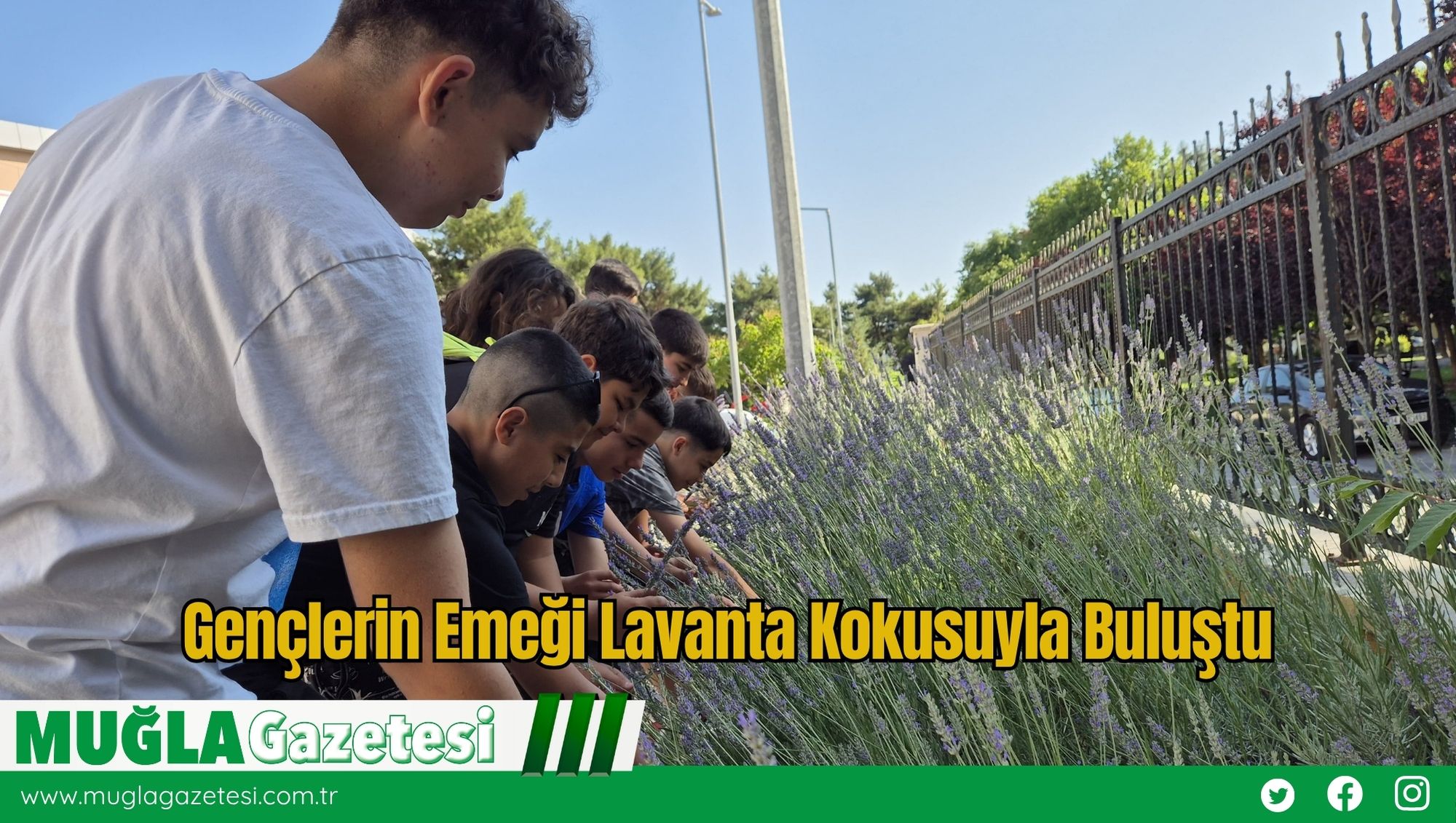 Gençlerin Emeği Lavanta Kokusuyla Buluştu