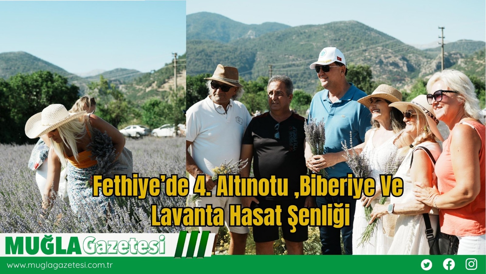 Fethiye’de 4. Altınotu ,Biberiye Ve Lavanta Hasat Şenliği