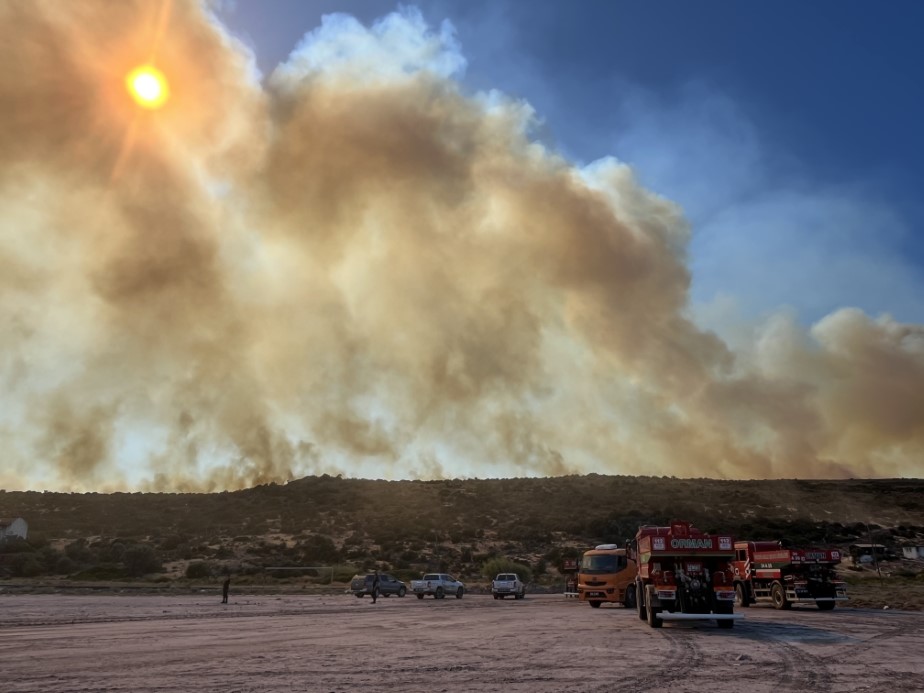 İzmir Alev Alev Yanıyor : Felaket Urla’ya Ulaştı, Mahalle Tahliye Edildi